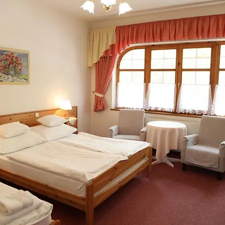 Ξενοδοχείο Hajdu Kastely 3*