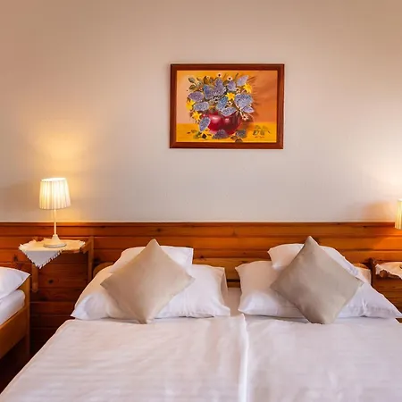 Hotel Hajdu Kastely 3*