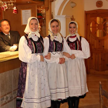 Hotel Hajdu Kastely