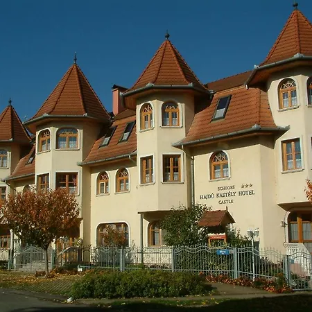 Отель Hajdu Kastely