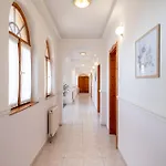 Hotel Hajdu Kastely