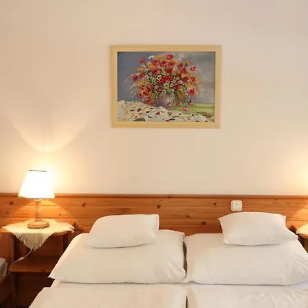 Hotel Hajdu Kastely 3*