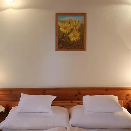 Hajdu Kastely Hotel