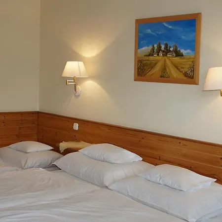 Hotel Hajdu Kastely 3*