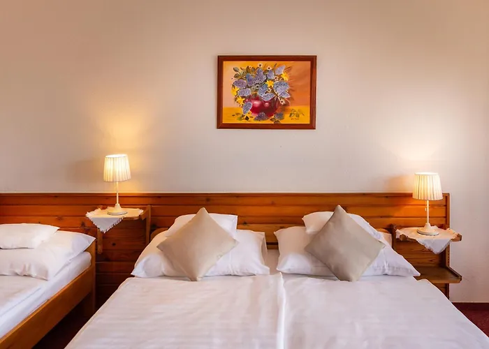 Otel Hajdu Kastely 3*