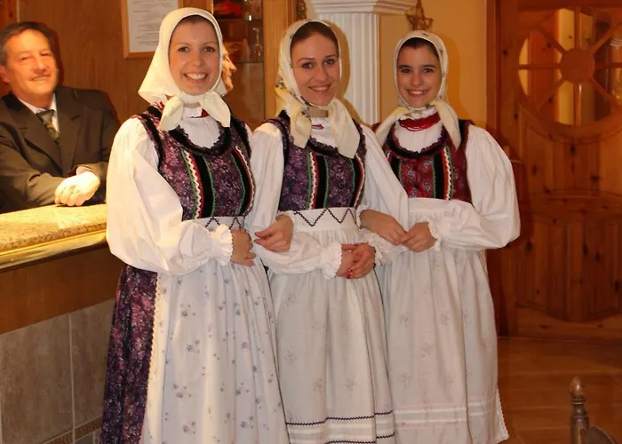 Отель Hajdu Kastely